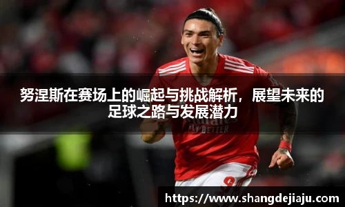 努涅斯在赛场上的崛起与挑战解析，展望未来的足球之路与发展潜力